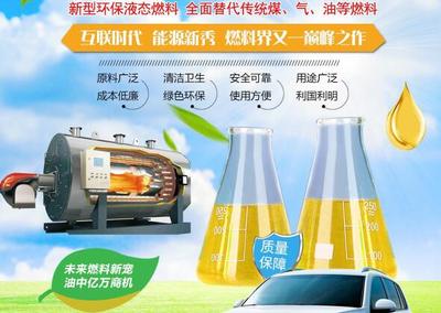無(wú)醇植物燃料油培訓(xùn)指南 從入門(mén)到精通
